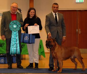 2014.jpg|Årets Opdrætter 2014: Kennel Librrani v/ I. & M. Durrani, DK|Kennel Librrani v/ I. & M. Durrani, DK