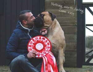 TOP Han 2021, 2022, 2023 & 2024: Kettners Baelish|Ejer: C. & H. Reimer og I. & M. Durrani, DK ¤ Opdrætter: Karina Kettner, DK