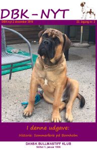 DBK-nyt_2018