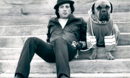 Rocky Balboa og bullmastiff