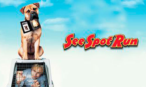 See Spot Run og bullmastiff