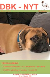 dbk-nyt_2021