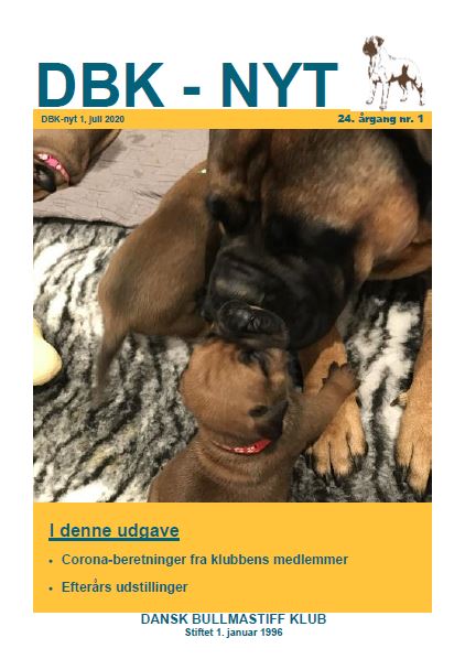 DBK-Nyt nr. 1 - 2020