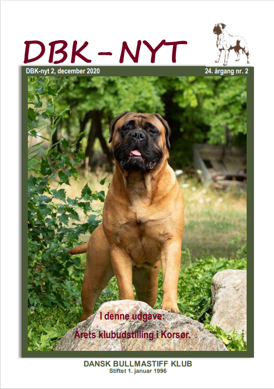 DBK-Nyt nr. 2 - 2020