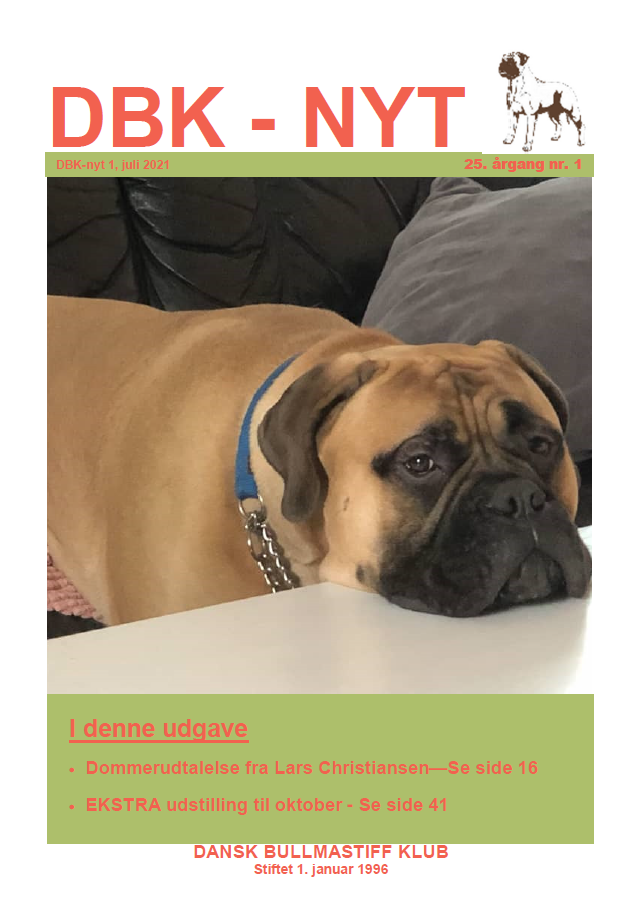 DBK-Nyt nr 1 2021