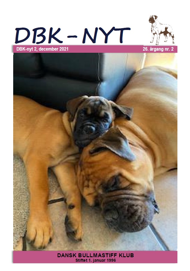 DBK-Nyt nr. 2 - 2021