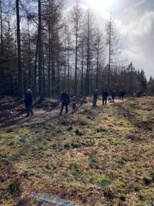 Forårsgåtur 2019 - Fyn