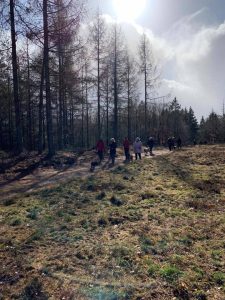 Forårsgåtur 2019 - Fyn