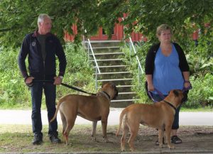 Gåtur på Bakken 2015