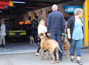 Gåtur på Bakken 2015