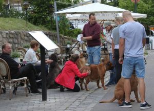 Gåtur på Bakken 2015