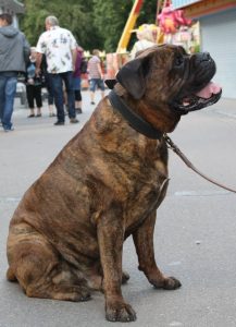 Gåtur på Bakken 2015