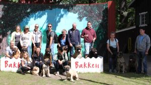 Gåtur på Bakken 2015