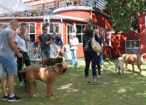 Gåtur på Bakken 2015