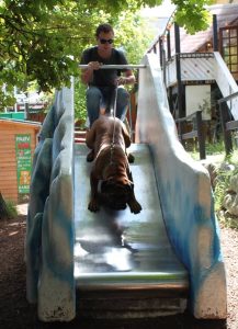 Gåtur på Bakken 2015