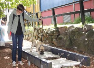 Gåtur på Bakken 2015