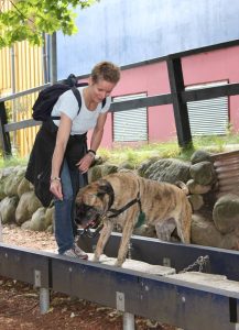 Gåtur på Bakken 2015