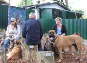 Gåtur på Bakken 2015