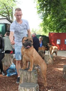 Gåtur på Bakken 2015