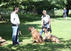 Gåtur på Bakken 2015