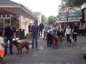 Gåtur på Bakken 2015