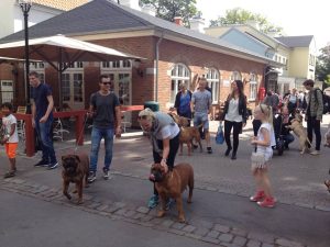 Gåtur på Bakken 2015