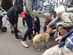 Gåtur på Bakken 2015