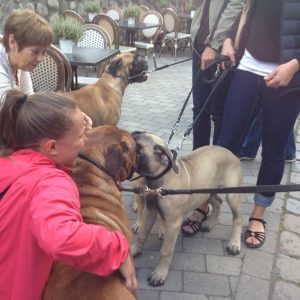 Gåtur på Bakken 2015