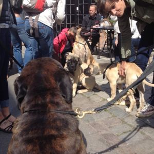 Gåtur på Bakken 2015