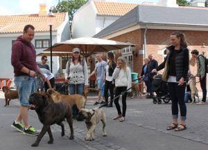 Gåtur på Bakken 2015