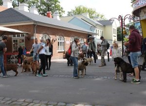 Gåtur på Bakken 2015