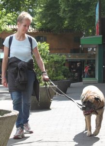 Gåtur på Bakken 2015