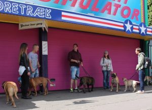 Gåtur på Bakken 2015