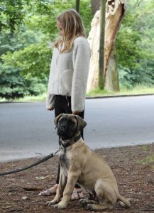 Gåtur på Bakken 2015