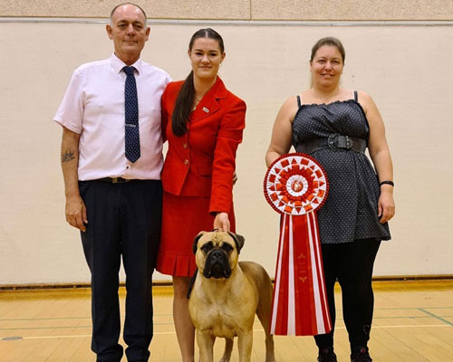 Årets Tæve 2022. Ace Of Beton's Highlight