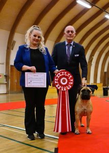 Top tæve 2023 & 2024