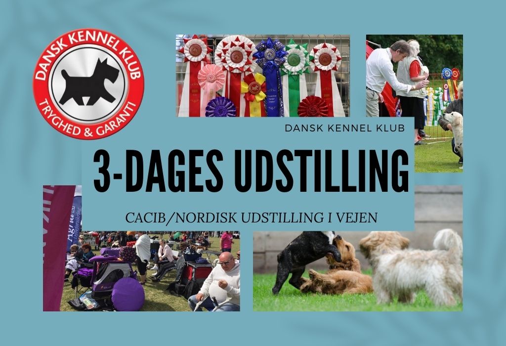 DKK udstilling i Vejen