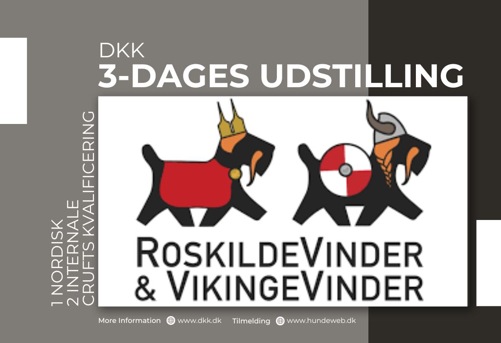 DKK udstilling Roskilde