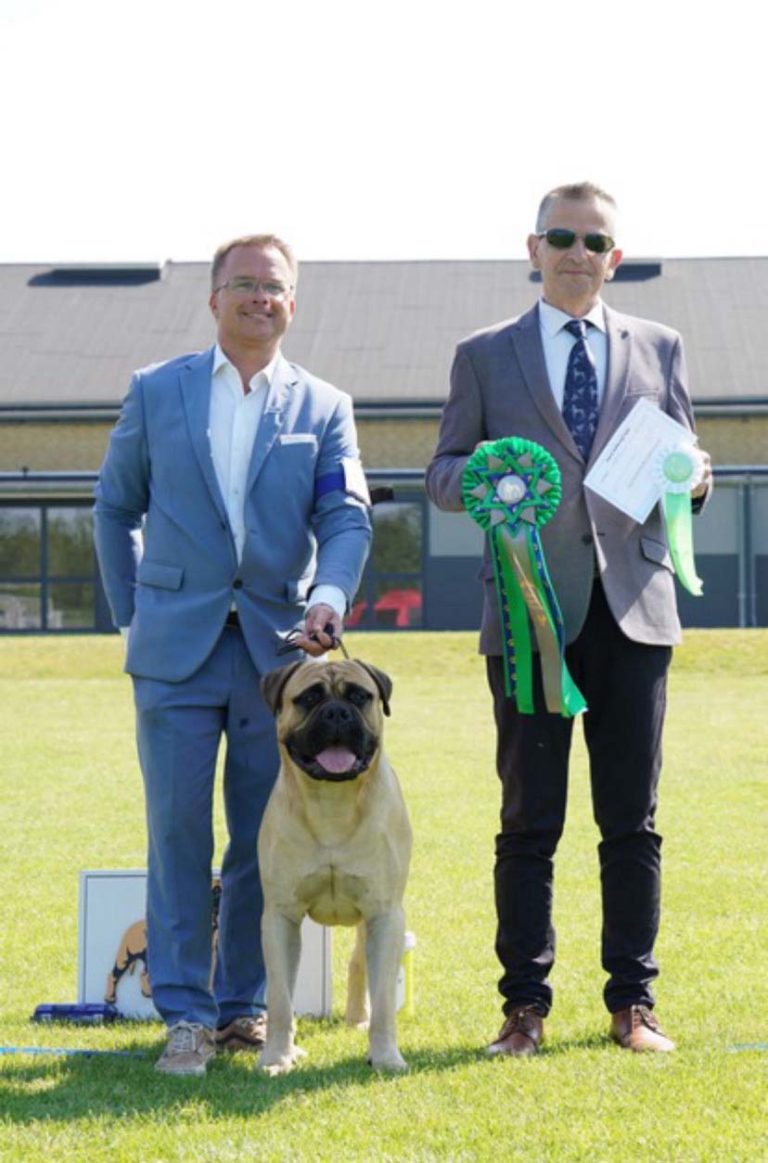 Ace Of Beton Jackpot