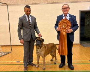 TOP Veteran 2024: Librrani's Kiss Me Kiss Me