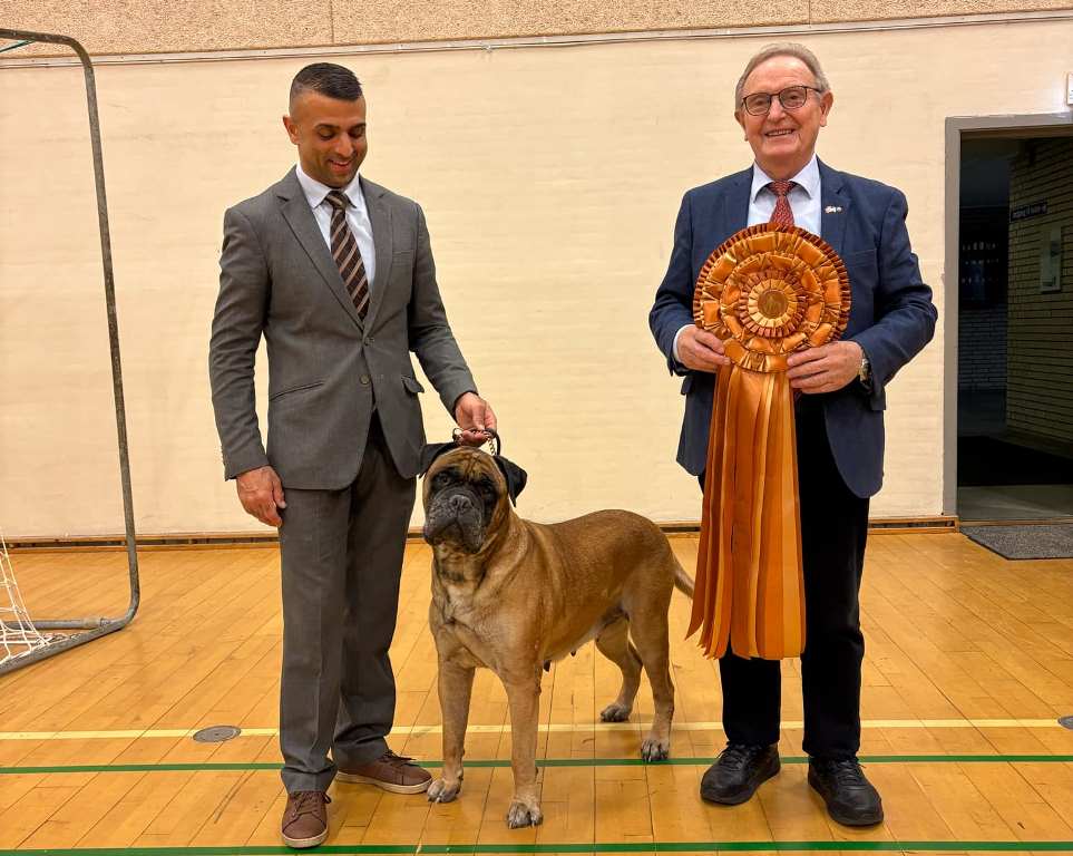 TOP Veteran 2024: Librrani's Kiss Me Kiss Me