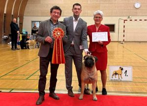 TOP Tæve 2025: Ace Of Beton's Just Follow Me|Ejer: Mette Kiel, Jacob Kiel Outzen, DK ¤ Opdrætter: Helle & Arne Dyrlund