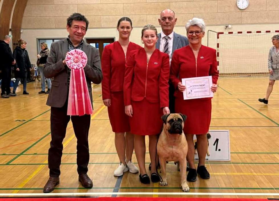 TOP Avlshund 2025: Ace Of Beton's Highlight|Ejer: Helle & Arne Dyrlund og Sarah Kronborg Eriksen, DK ¤ Opdrætter: Helle & Arne Dyrlund, DK