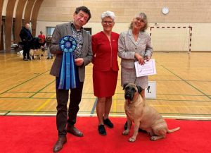 TOP Veteran 2025: Ace Of Beton's Gaia|Ejer: Sussie Brinch, DK ¤ Opdrætter: Helle & Arne Dyrlund