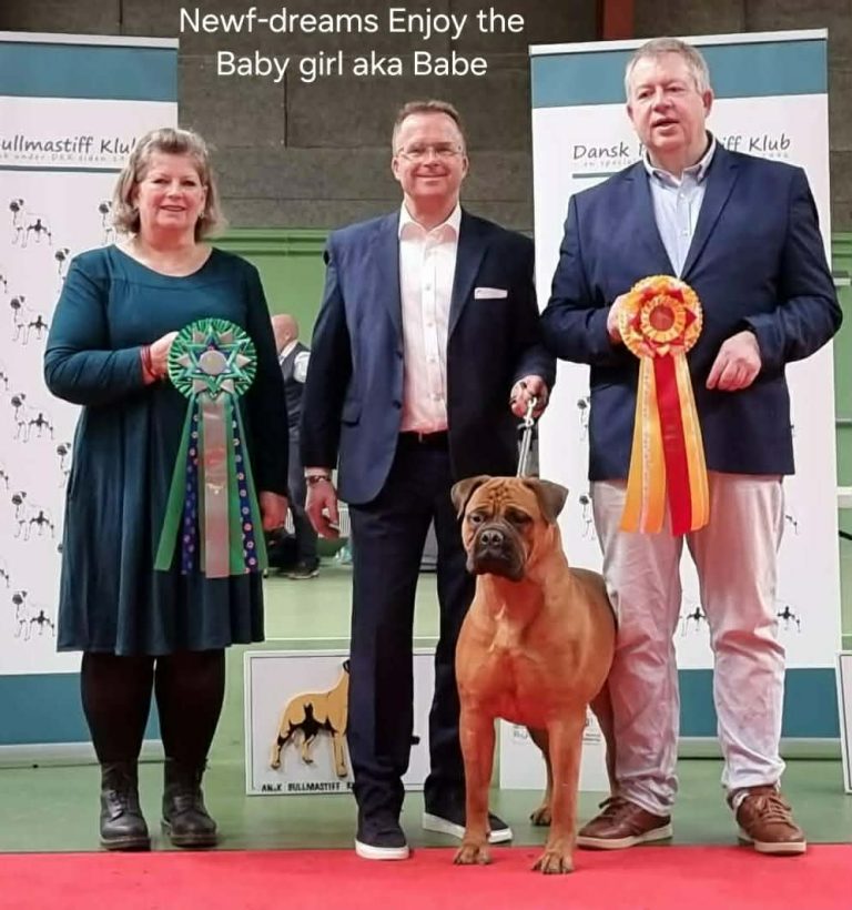 Newf-dreams Enjoy the Baby Girl