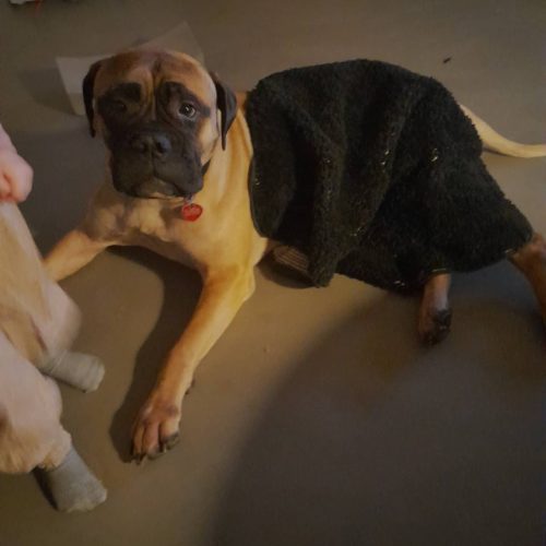 Månedens billede januar 2023