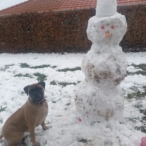 Månedens billede marts 2024