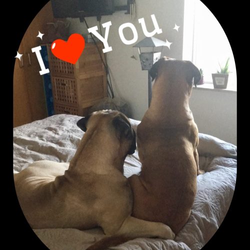 Processed with MOLDIV