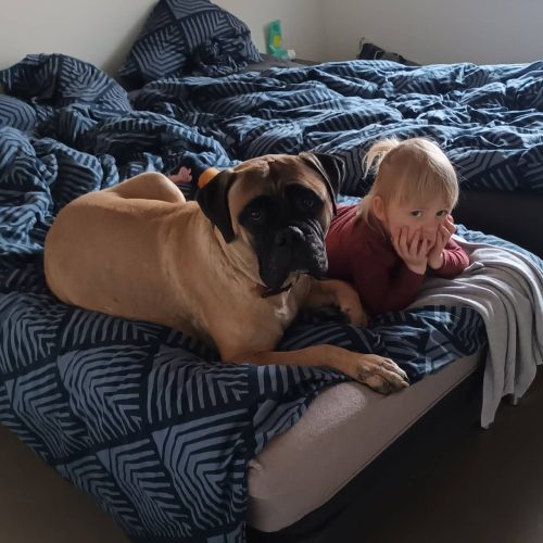 Månedens billede juni 2023