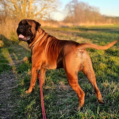 Månedens billede juni 2025